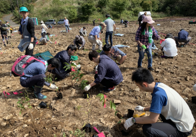 Image of Participate in Hometown Forestation Program
